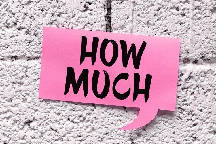 Conceptual Caption How Much Internet Concept Ask Amount Cost Something